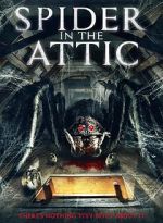 Watch Spider from the Attic 1channel