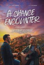 Watch A Chance Encounter 1channel