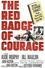 Watch The Red Badge of Courage 1channel