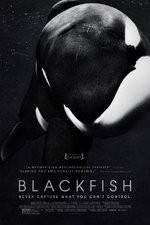 Watch Blackfish 1channel