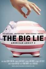 Watch American Addict 2 The Big Lie 1channel