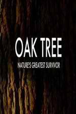 Watch Oak Tree Natures Greatest Survivor 1channel