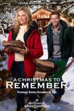 Watch A Christmas to Remember 1channel