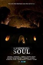 Watch Wandering Soul 1channel