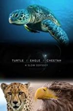 Watch Turtle, Eagle, Cheetah: A Slow Odyssey 1channel