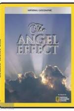 Watch National Geographic Explorer - The Angel Effect 1channel