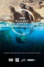Watch Planet Earth: A Celebration 1channel