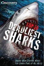 Watch National Geographic Worlds Deadliest Sharks 1channel