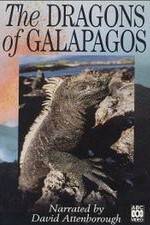 Watch The Dragons of Galapagos 1channel
