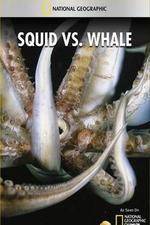 Watch National Geographic Wild - Squid Vs Whale 1channel
