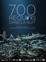 Watch 700 requins dans la nuit 1channel