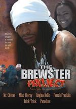 Watch The Brewster Project 1channel