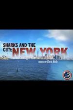 Watch Sharks and the City: New York 1channel