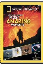 Watch National Geographic's Most Amazing Moments 1channel