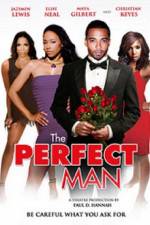 Watch The Perfect Man 1channel