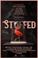 Watch Stuffed 1channel