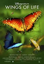 Watch Disneynature: Wings of Life 1channel