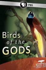 Watch Birds Of The Gods 1channel