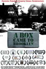 Watch A Box Came to Brooklyn 1channel