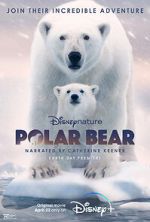 Watch Polar Bear 1channel