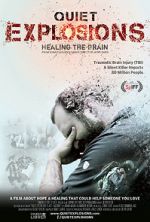 Watch Quiet Explosions: Healing the Brain 1channel