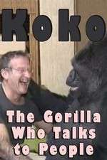 Watch Koko: The Gorilla Who Talks to People 1channel