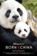 Watch Born in China 1channel