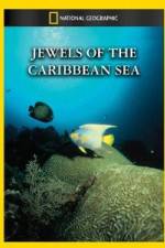 Watch National Geographic Jewels of the Caribbean Sea 1channel