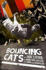 Watch Bouncing Cats 1channel