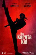 Watch The Karate Kid 1channel