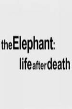 Watch The Elephant - Life After Death 1channel