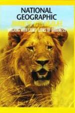 Watch National Geographic:  Walking with Lions 1channel