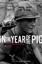 Watch In the Year of the Pig 1channel