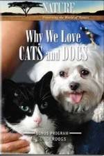Watch Why We Love Cats And Dogs 1channel