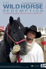 Watch The Wild Horse Redemption 1channel
