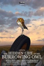 Watch The Hidden Life of the Burrowing Owl (Short 2008) 1channel