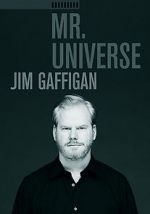 Watch Jim Gaffigan: Mr. Universe 1channel