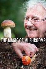 Watch The Magic of Mushrooms 1channel