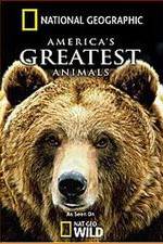 Watch America's Greatest Animals 1channel
