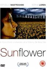 Watch Sunflower 1channel