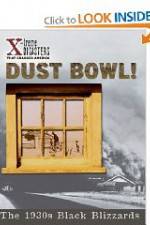 Watch Dust Bowl!: The 1930s Black Blizzards 1channel