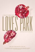 Watch Loves Park 1channel