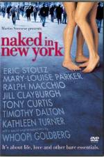 Watch Naked in New York 1channel