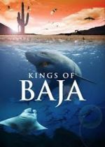 Watch Kings of Baja 1channel