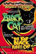 Watch The Black Cat 1channel