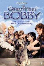 Watch Greyfriars Bobby The True Story of a Dog 1channel