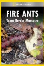 Watch National Geographic Fire Ants: Texas Border Massacre 1channel