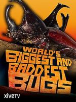 Watch World\'s Biggest and Baddest Bugs 1channel