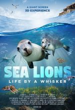 Watch Sea Lions: Life by a Whisker (Short 2020) 1channel