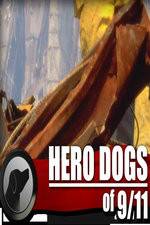 Watch Hero Dogs of 911 Documentary Special 1channel